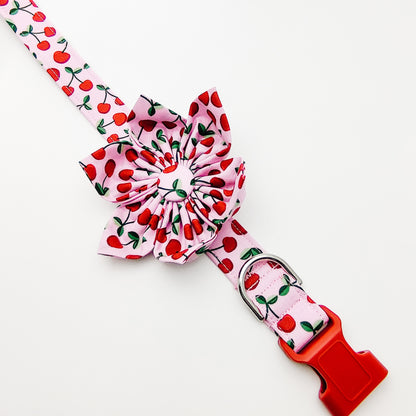 Cherries Dog Collar/ Cat Collar