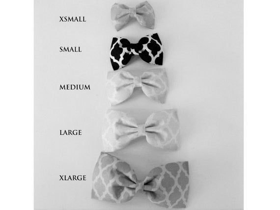 Mint Arrow Bow Tie/Flower - Charlotte's Pet