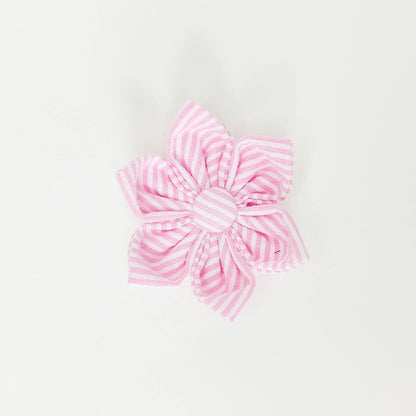 Seersucker Pink Dog & Cat Bow Tie/Collar Flower